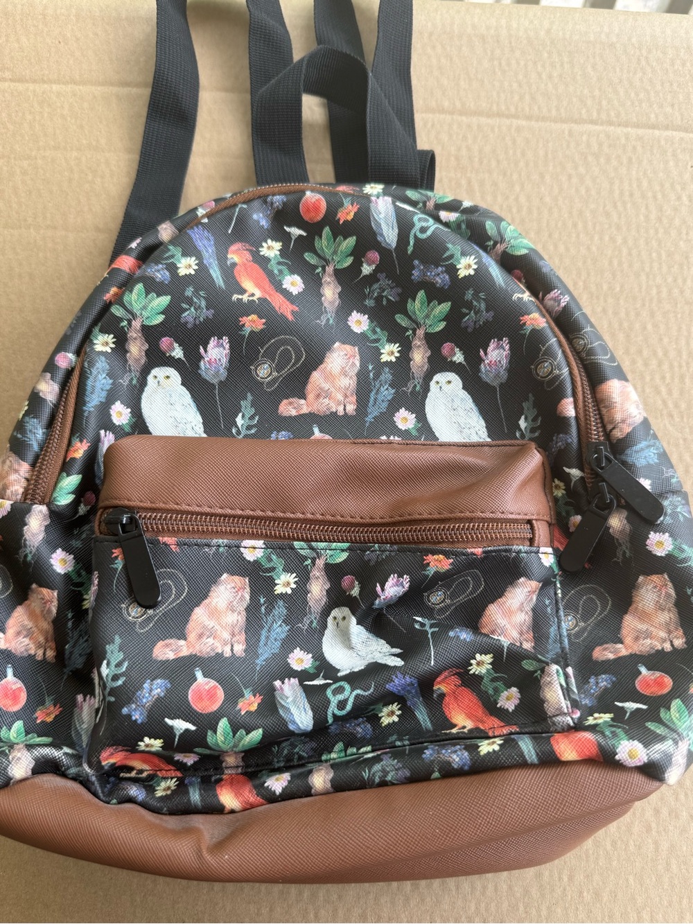 Bioworld Harry Potter  Print Mini Backpack in Black and Brown